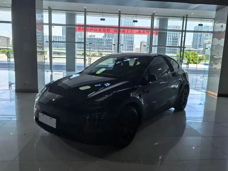 Tesla Model Y, 2021