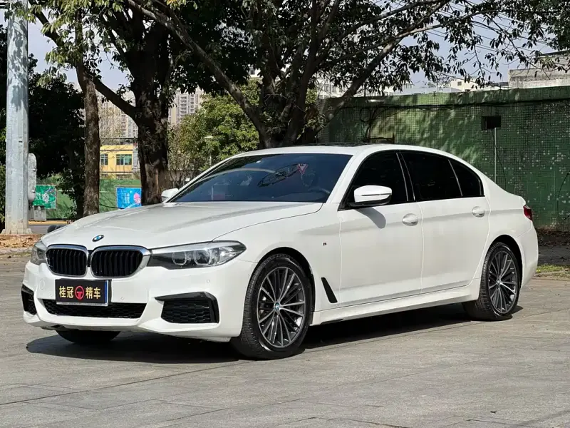 BMW 5 Series, 2019