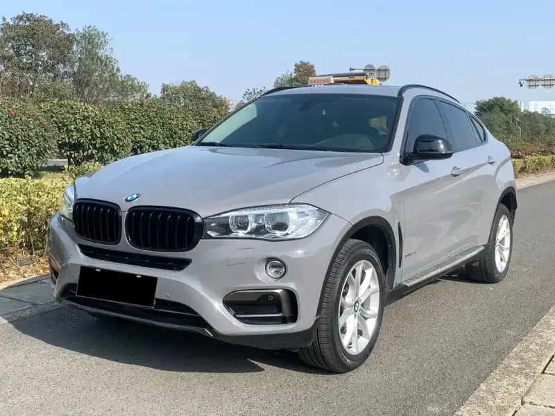 BMW X6, 2017 — фото 1