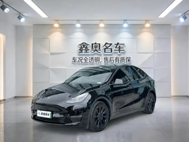 Tesla Model Y, 2021
