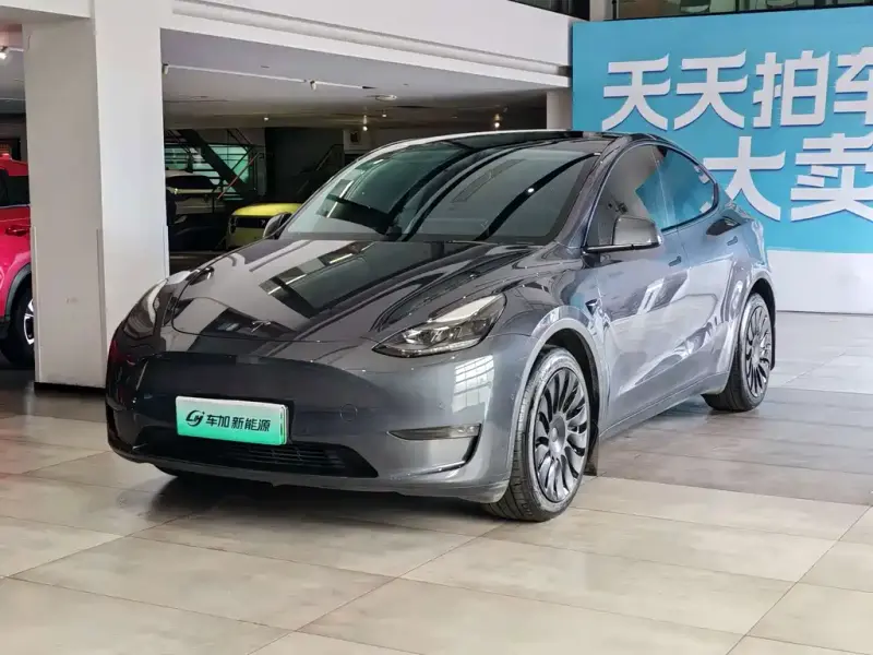 Tesla Model Y, 2021