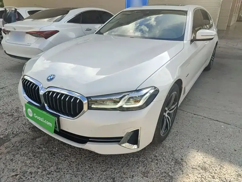 BMW 5 Series New Energy, 2021