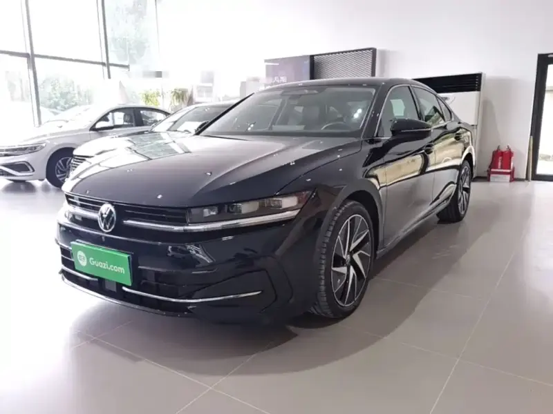 Volkswagen Magotan, 2024