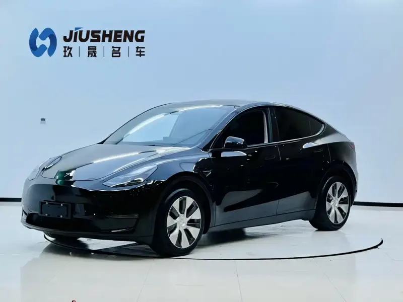 Tesla Model Y, 2021