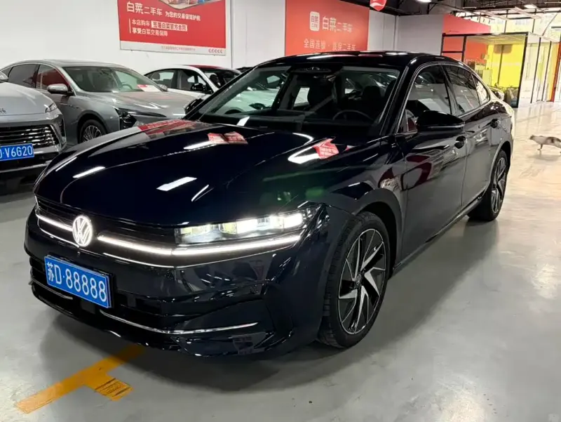 Volkswagen Magotan, 2024