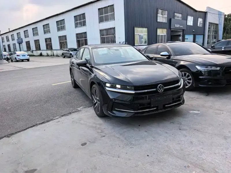 Volkswagen Magotan, 2024
