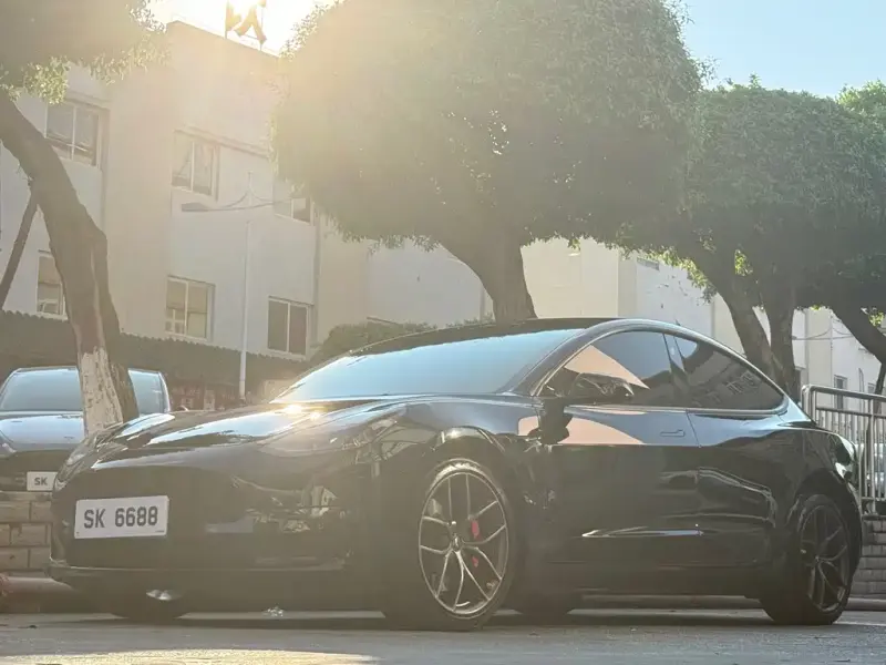 Tesla Model 3, 2023