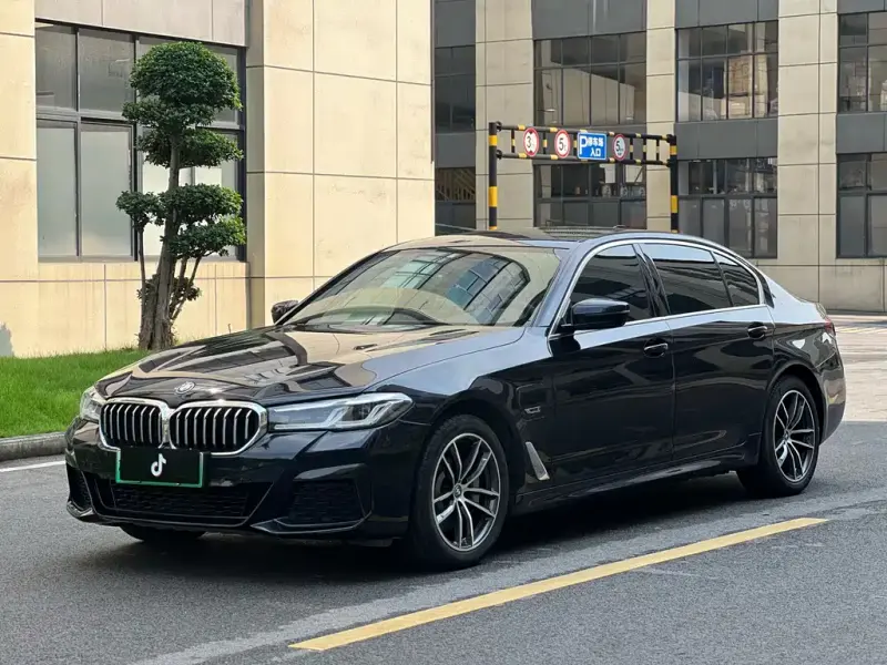 BMW 5 Series New Energy, 2021