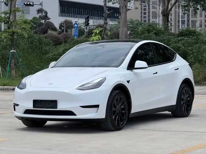 Tesla Model Y, 2024