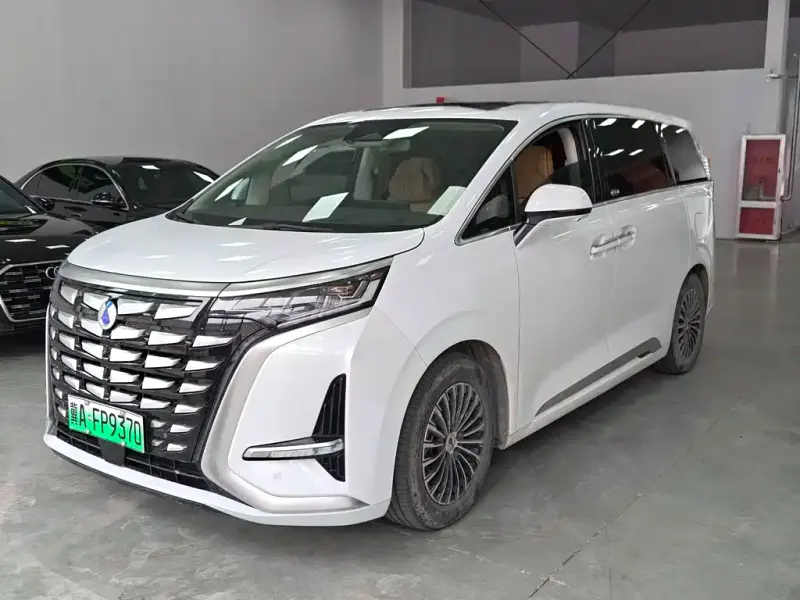 Denza D9, 2024