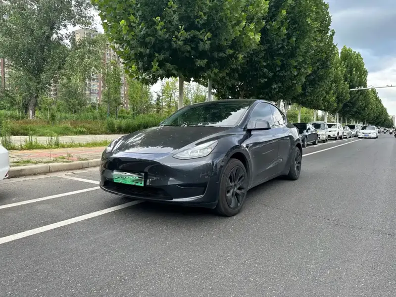 Tesla Model Y, 2024