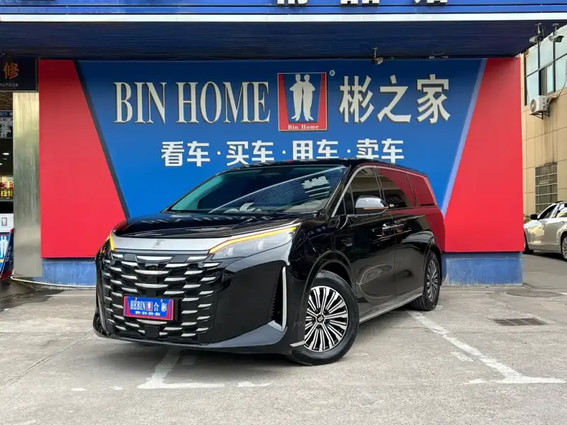 BYD Xia, 2025