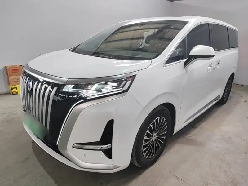 Denza D9, 2024