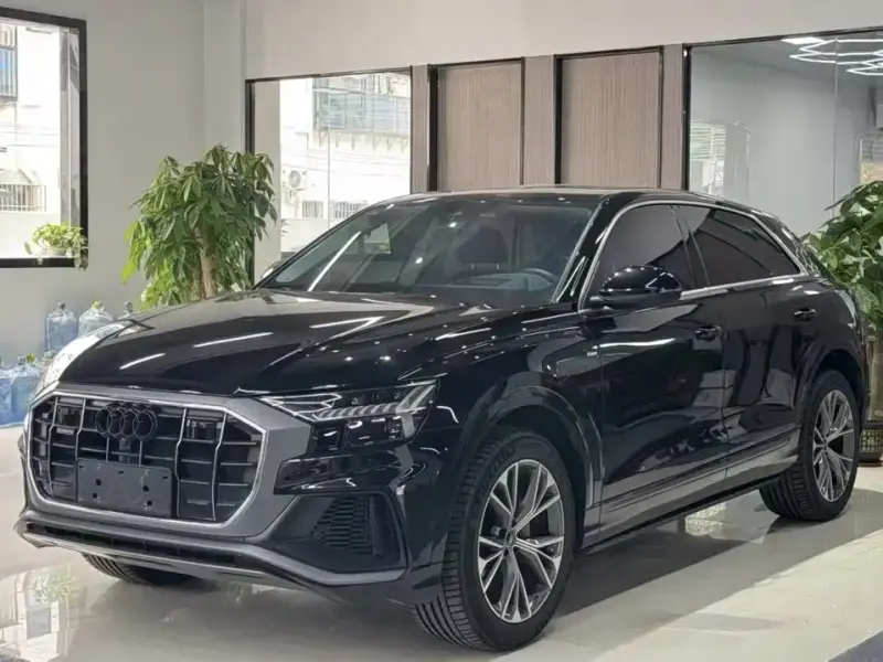 Audi Q8, 2024