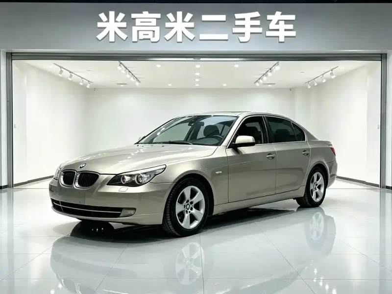 BMW 5 Series, 2010