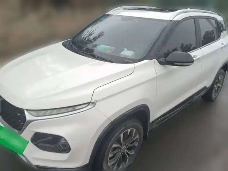 Baojun 510, 2019