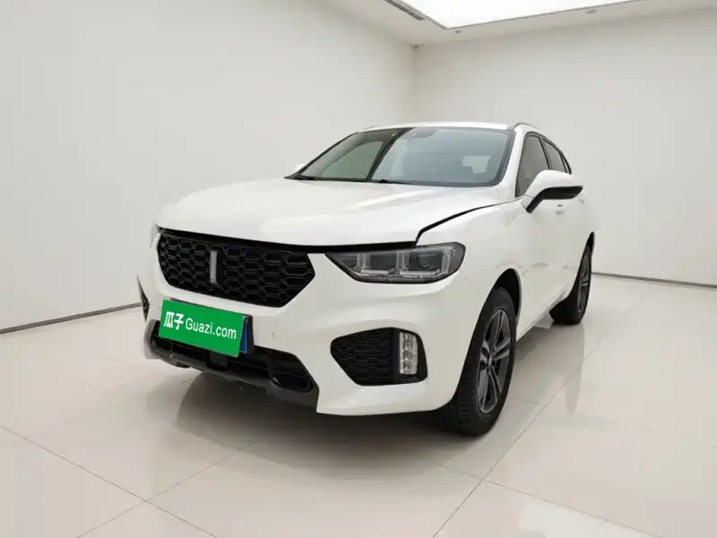 Wey VV5, 2019