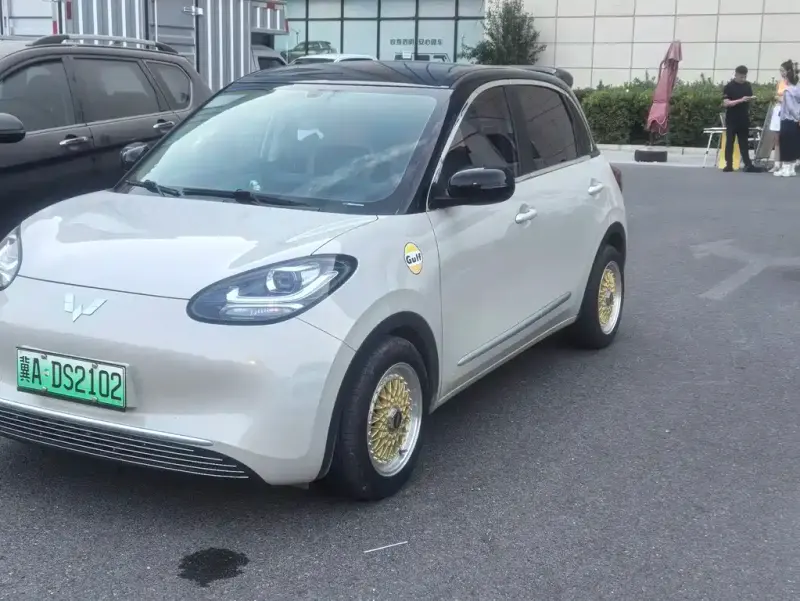 Wuling Bingo, 2023
