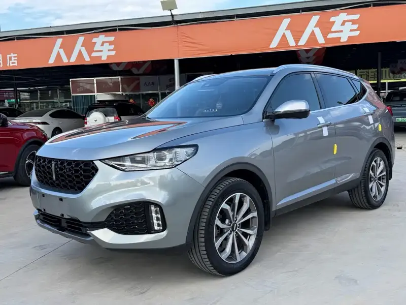 Wey VV6, 2019