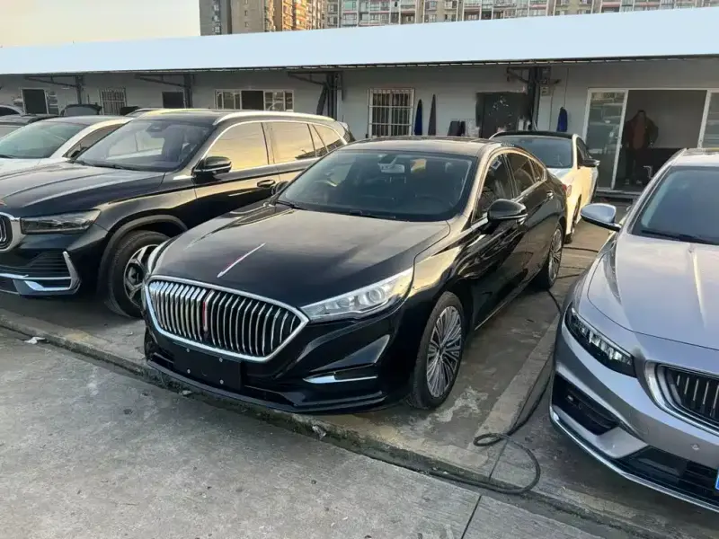Hongqi H5, 2020