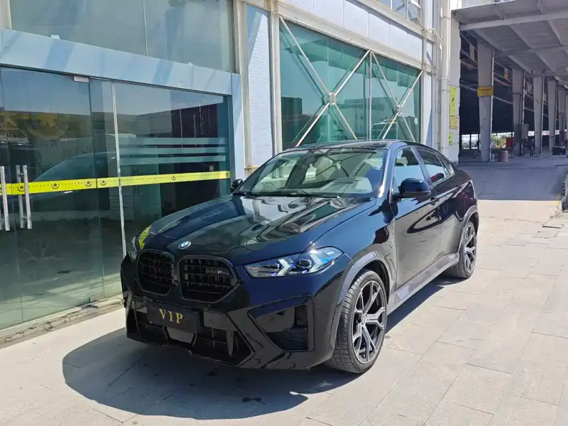 BMW X6, 2009