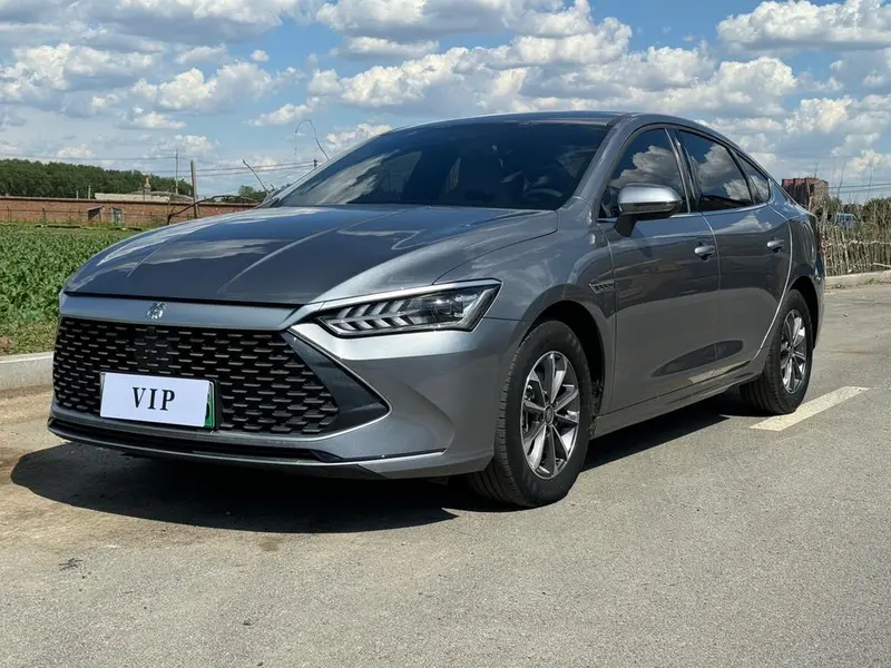 BYD Qin PLUS DM DM-i Champion Edition 55KM Version, 2023 — фото 1