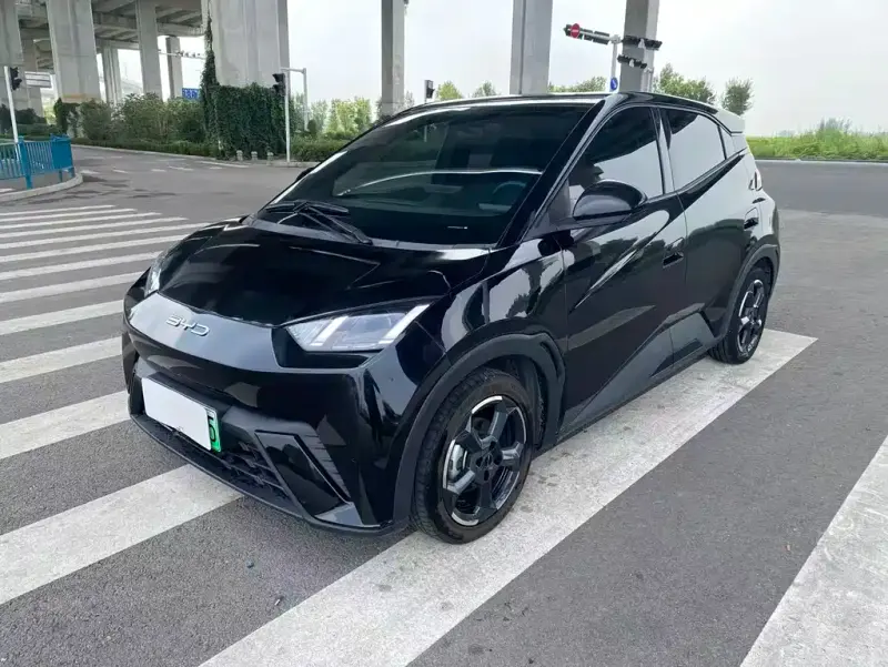 BYD Seagull, 2023
