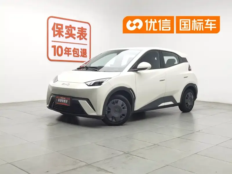 BYD Seagull, 2024