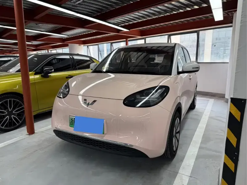 Wuling Bingo, 2024