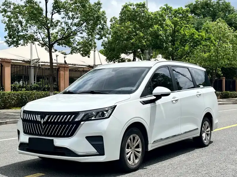 Wuling Jiachen, 2024