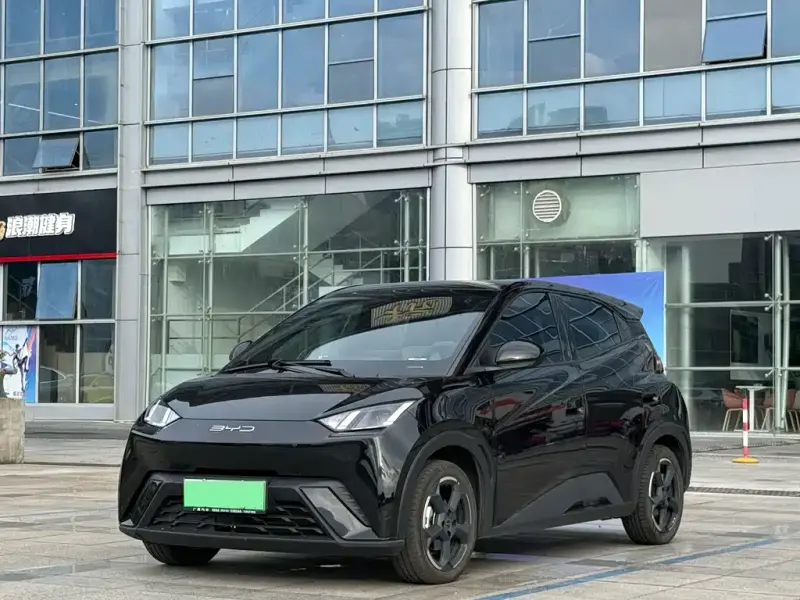 BYD Seagull, 2023