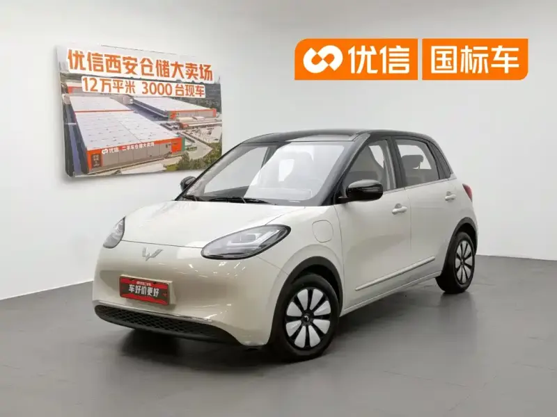 Wuling Bingo, 2024