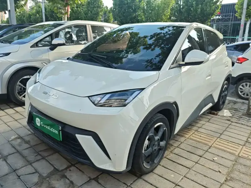 BYD Seagull, 2023