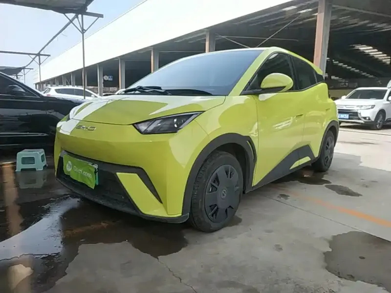 BYD Seagull, 2023
