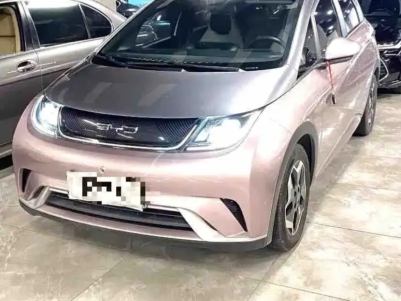 BYD Dolphin, 2022