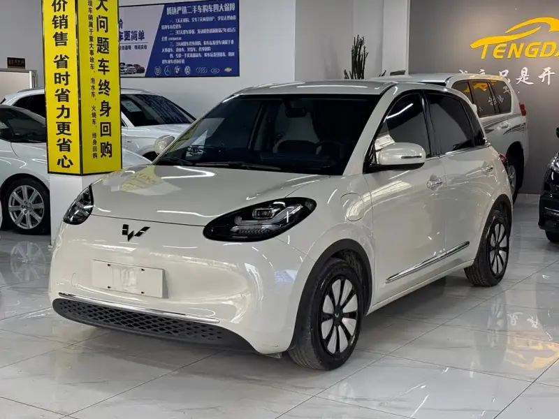 Wuling Bingo, 2024