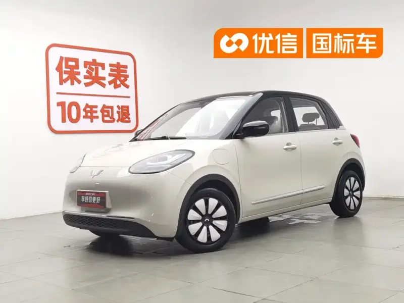 Wuling Bingo, 2024