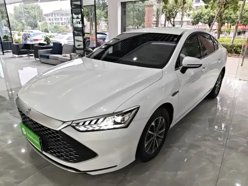 BYD Qin PLUS, 2024 — фото 1