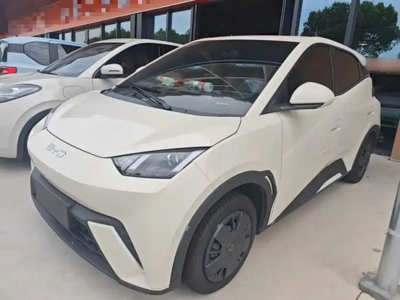 BYD Seagull, 2024