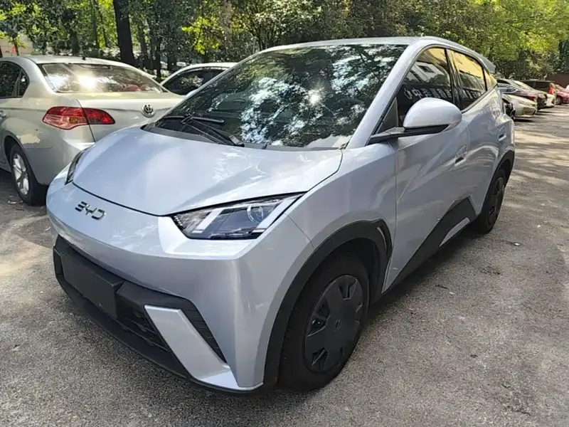 BYD Seagull, 2024