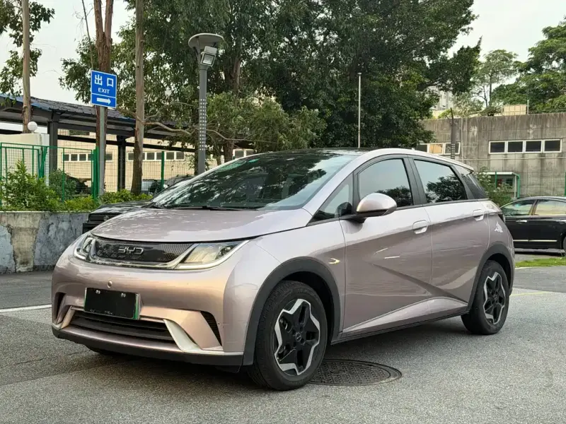 BYD Dolphin, 2023