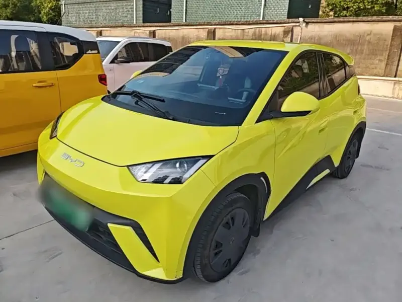 BYD Seagull, 2023