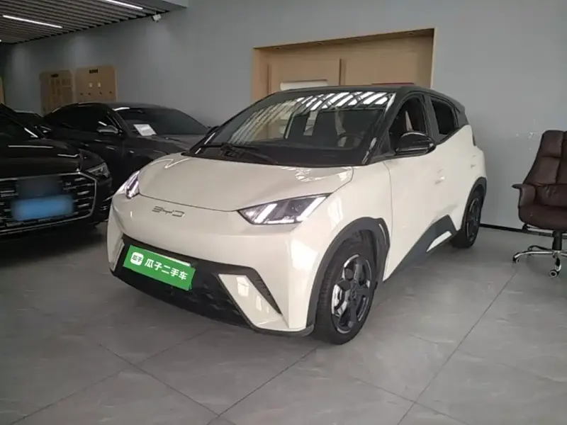 BYD Seagull, 2024