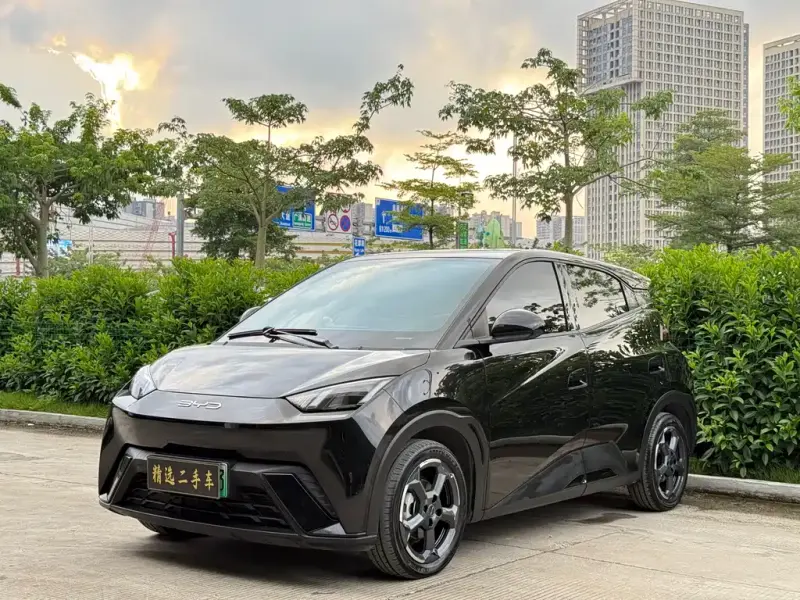 BYD Seagull, 2024
