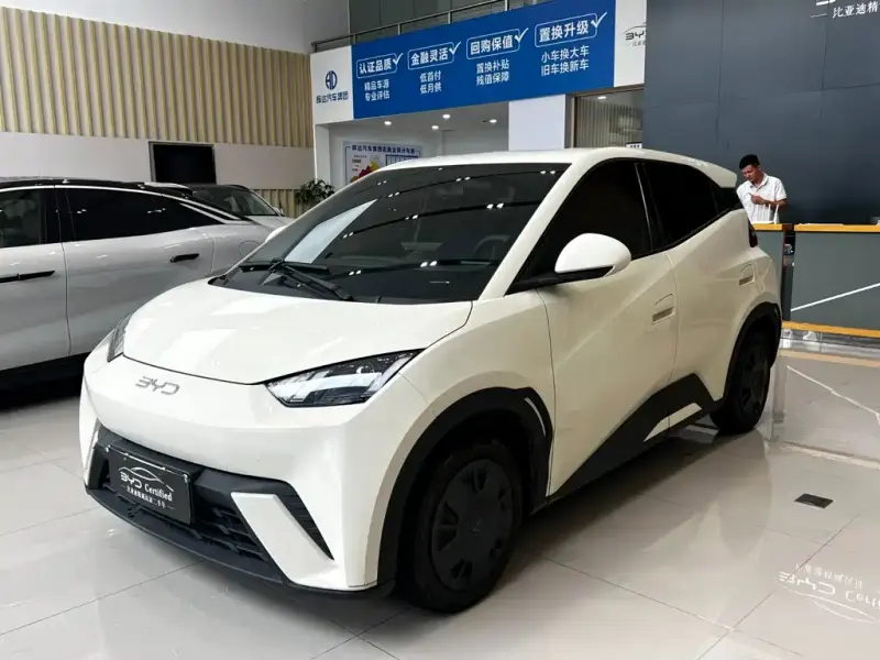 BYD Seagull, 2024