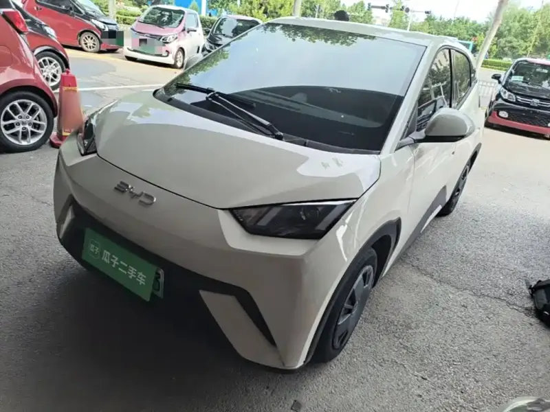 BYD Seagull, 2024