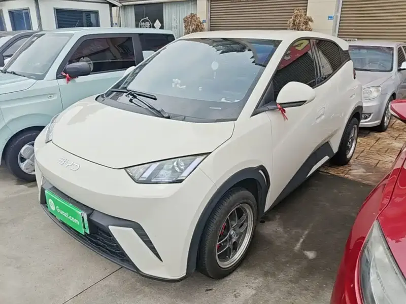 BYD Seagull, 2024