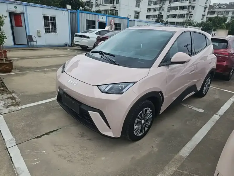 BYD Seagull, 2024