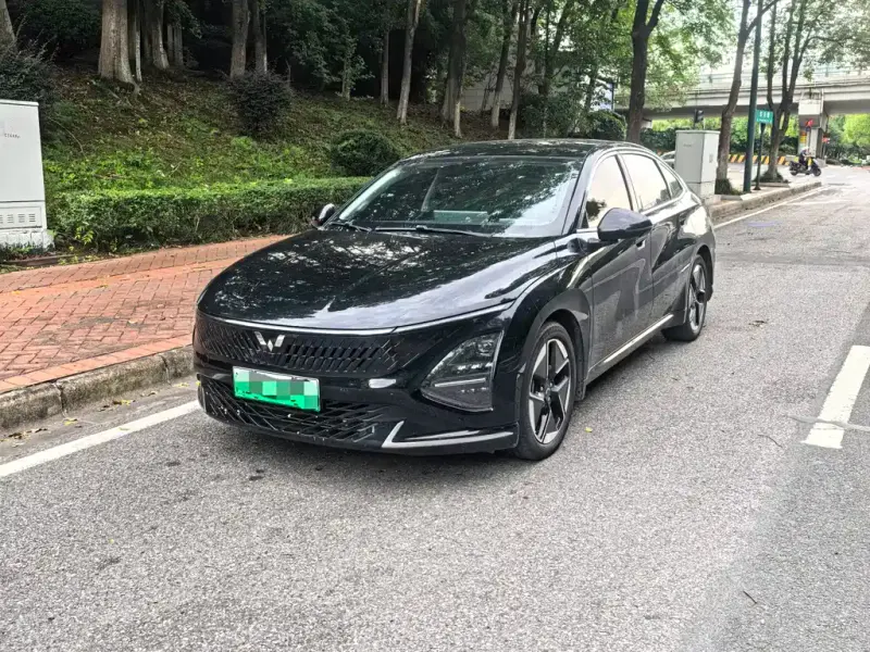Wuling Xingguang, 2024