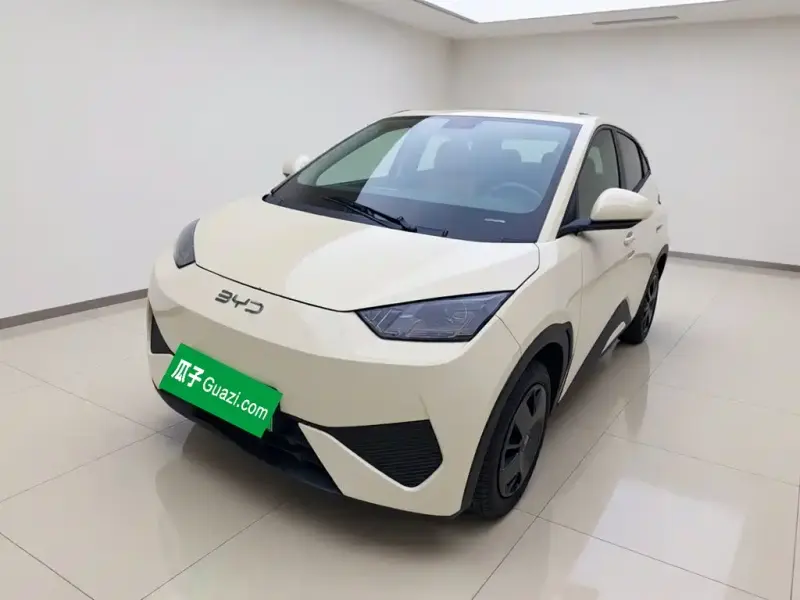 BYD Seagull, 2025